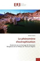 Belkheir Djelita - Le phénomène d'eutrophisation