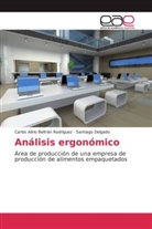 Carlos Aliri Beltrán Rodríguez, Carlos Alirio Beltrán Rodríguez, Santiago Delgado - Análisis ergonómico