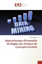 Nida Meddouri - Apprentissage d'Ensemble de Règles par Analyse de Concepts Formels