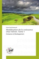 Chiraz Charfi Masmoudi - Modélisation de la croissance chez l'olivier. Tome 1