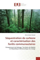 Olivier Bahati Mastaki - Séquestration de carbone et caractérisation des forêts communautaires