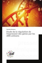 Stanislas Denoeux - Etude de la régulation de l'expression des gènes par les ARN antisens