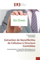 Karim Ben hamou, Karima Ben hamou, Alain Dufresne, Hami Kaddami, Hamid Kaddami - Extraction de Nanofibrilles de Cellulose à Structure Contrôlées