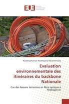 Ravelonjohanison Norohajaina Rahanitrinivola - Evaluation environnementale des itinéraires du backbone Nationale