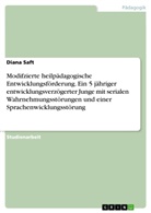 Diana Saft - Modifzierte heilpädagogische Entwicklungsförderung. Ein 5 jähriger entwicklungsverzögerter Junge mit serialen Wahrnehmungsstörungen und einer Sprachenwicklungsstörung