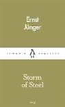 Ernst Junger, Ernst Jünger - Storm of Steel