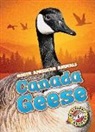 Megan Borgert-Spaniol, Megan Borgert Spaniol - Canada Geese