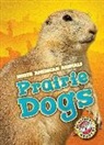Megan Borgert-Spaniol, Megan Borgert Spaniol - Prairie Dogs
