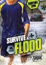 Patrick Perish - Survive a Flood
