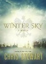 Chris Stewart - Winter Sky