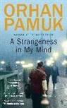 Orhan Pamuk - A Strangeness in My Mind