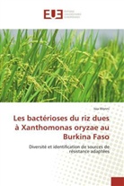 Issa Wonni - Les bactérioses du riz dues à Xanthomonas oryzae au Burkina Faso