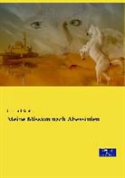 Gerhard Rohlfs - Meine Mission nach Abessinien
