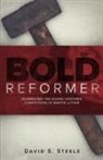 David S. Steele - Bold Reformer