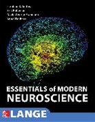 Franklin Amthor, Erik Roberson, David Standaert, David G Standaert, David G. Standaert, W Anne Burton Theibert... - Essentials of Modern Neuroscience