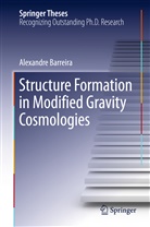Alexandre Barreira - Structure Formation in Modified Gravity Cosmologies