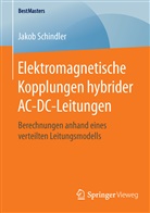 Jakob Schindler - Elektromagnetische Kopplungen hybrider AC-DC-Leitungen