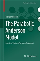 Wolfgang König - The Parabolic Anderson Model