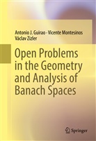 Antonio Guirao, Antonio J Guirao, Antonio J. Guirao, Vicent Montesinos, Vicente Montesinos, Václ Zizler... - Open Problems in the Geometry and Analysis of Banach Spaces