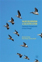 Beniamin Cislaghi, Beniamino Cislaghi, Beniamino Ferdinando Cislaghi, Dian Gillespie, Diane Gillespie, Gerry Mackie - Values Deliberation and Collective Action