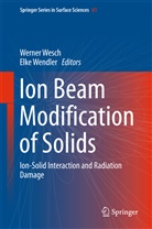 Wendler, Wendler, Elke Wendler, Werne Wesch, Werner Wesch - Ion Beam Modification of Solids