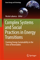 Nicol Labanca, Nicola Labanca - Complex Systems and Social Practices in Energy Transitions