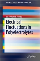 José Antonio Fornés - Electrical Fluctuations in Polyelectrolytes