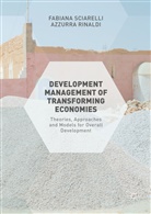 Azzurra Rinaldi, Fabian Sciarelli, Fabiana Sciarelli, Fabiana Rinaldi Sciarelli - Development Management of Transforming Economies