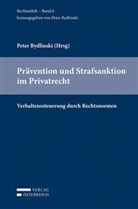 Peter Bydlinski - Prävention und Strafsanktion im Privatrecht