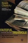 Noam Chomsky - The Fateful Triangle
