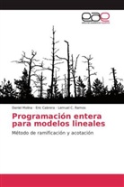 Eri Cabrera, Eric Cabrera, Danie Molina, Daniel Molina, Lemuel C Ramos, Lemuel C. Ramos - Programación entera para modelos lineales
