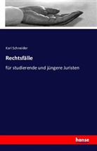 Karl Schneider - Rechtsfälle