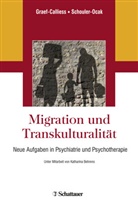 Iris Tatjana Graef-Calliess, Merya Schouler-Ocak, Meryam Schouler-Ocak - Migration und Transkulturalität