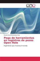 Ricardo David Manosalvas Arias - Pega de herramientas en registros de pozos Open Hole
