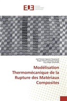 Joel Patric Agnem Nwatsock, Joel Patrick Agnem Nwatsock, Roger Lemanle Sanga, Roger Pierre Lemanle Sanga, Guy Edgar Ntamack - Modélisation Thermomécanique de la Rupture des Matériaux Composites