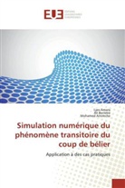 Lye Amara, Lyes Amara, Mohamed Amireche, Al Berreksi, Ali Berreksi - Simulation numérique du phénomène transitoire du coup de bélier