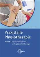 Mand Gerin, Mandy Gerin, Regine Astrid Schmidt - Praxisfälle Physiotherapie, Band 1, Traumatologie und orthopädische Chirurgie. Bd.1