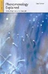 David Detmer - Phenomenology Explained
