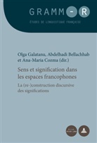 Bellachha Abdelhadi, Bellachhab Abdelhadi, Bellachhab Abdelhadi u a, Ana-Maria Cozma, Olg Galatanu, Olga Galatanu... - Sens et signification dans les espaces francophones