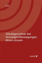 Martin Auer - Gläubigerschutz bei Vermögensbewegungen down-stream (f. Österreich)