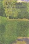 Johann Wolfgang von Goethe, G. Baioni - Le affinità elettive
