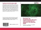 Eduin Yesi Mora Mendoza, Eduin Yesid Mora Mendoza, Armando Sarmiento, Armand Sarmiento Santos, Armando Sarmiento Santos - Estudio de tratamiento del gas CO2 mediante la técnica de plasma DBD
