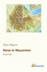 Eduard Rüppell - Reise in Abyssinien