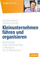Jörg Baumhauer, Carste Schmidt, Carsten Schmidt - Kleinunternehmen führen und organisieren