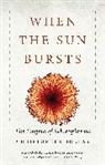 Christopher Bollas, Bollas Christopher - When the Sun Bursts
