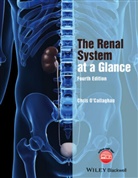 &apos, Christopher Callaghan, O&apos, C O'Callaghan, C. A. O'Callaghan, Christopher O'Callaghan... - Renal System At a Glance