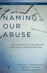 David Carlson, Daniel Gorski, Andrew Schmutzer, Andrew/ Gorski Schmutzer - Naming Our Abuse