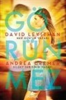 Andrea Cremer, David Levithan - Görünmez