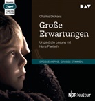 Charles Dickens, Hans Paetsch - Große Erwartungen, 2 Audio-CD, 2 MP3 (Hörbuch)