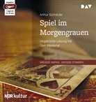 Arthur Schnitzler, Gert Westphal - Spiel im Morgengrauen, 1 Audio-CD, 1 MP3 (Hörbuch)